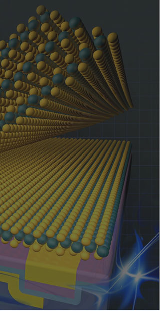 2d рост материала